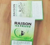 红外烟气分析仪 雪迪龙_卡比龙代